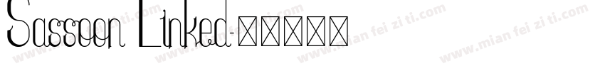 Sassoon Linked字体转换